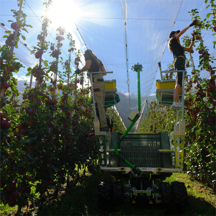 HARVESTING PEDESTALS