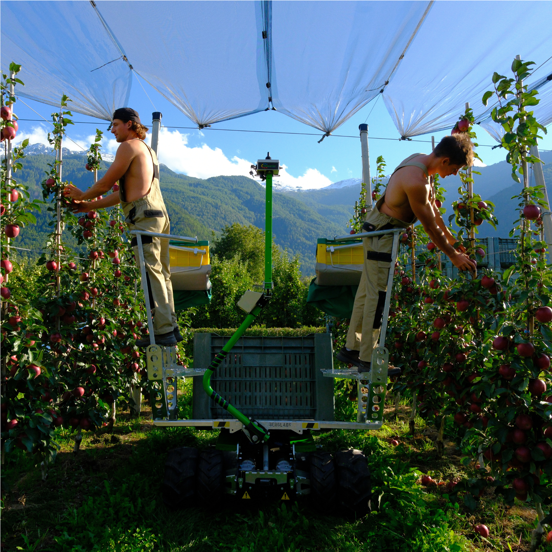 HARVESTING PEDESTALS