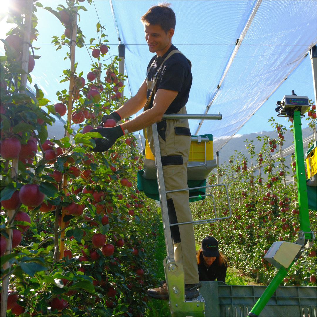 HARVESTING PEDESTALS