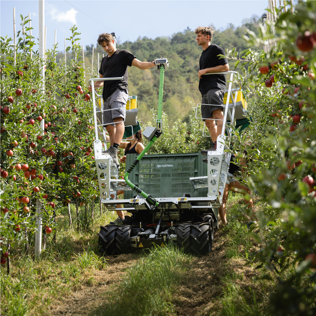 HARVESTING PEDESTALS