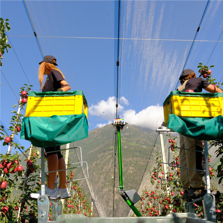 HARVESTING PEDESTALS