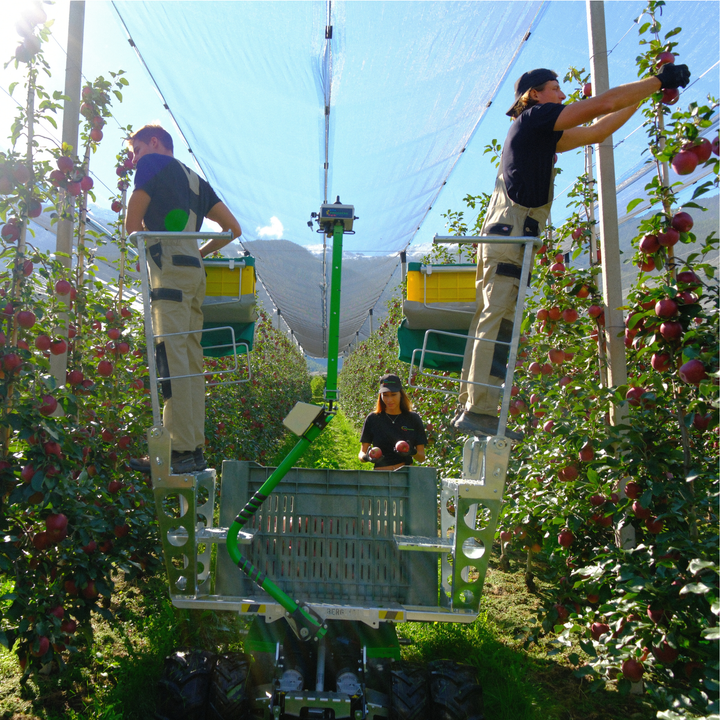 HARVESTING PEDESTALS