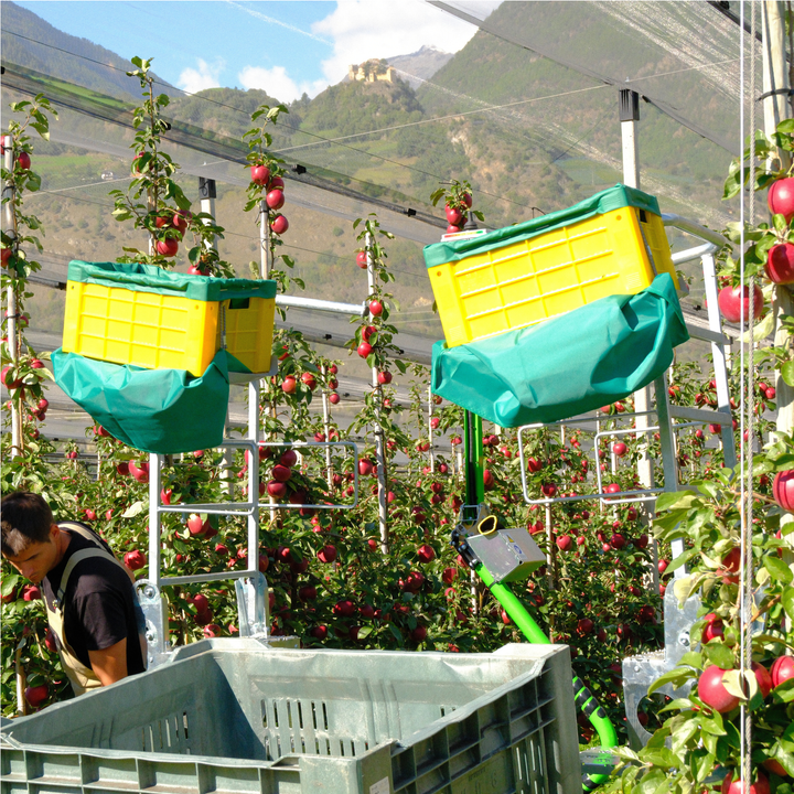 HARVESTING PEDESTALS