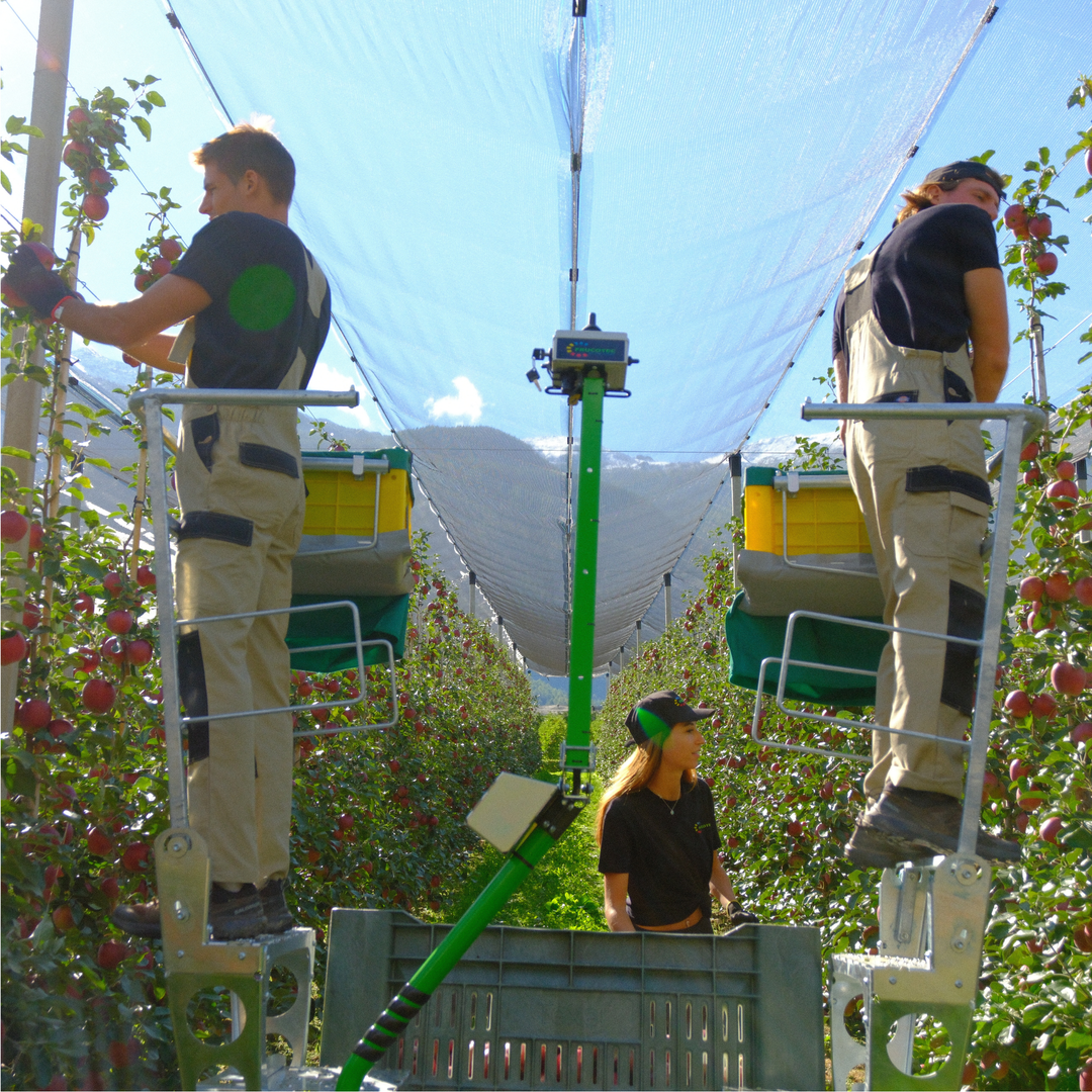 HARVESTING PEDESTALS
