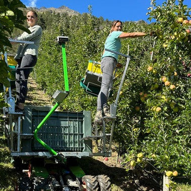 HARVESTING PEDESTALS