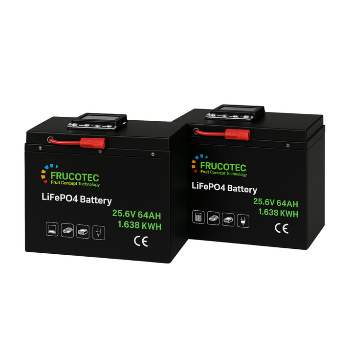 LITHIUM BATTERIEN