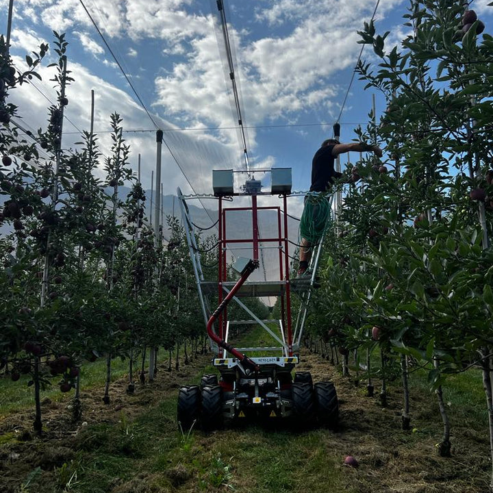 Person using a mechanical device in an orchard against a blue sky with clouds.