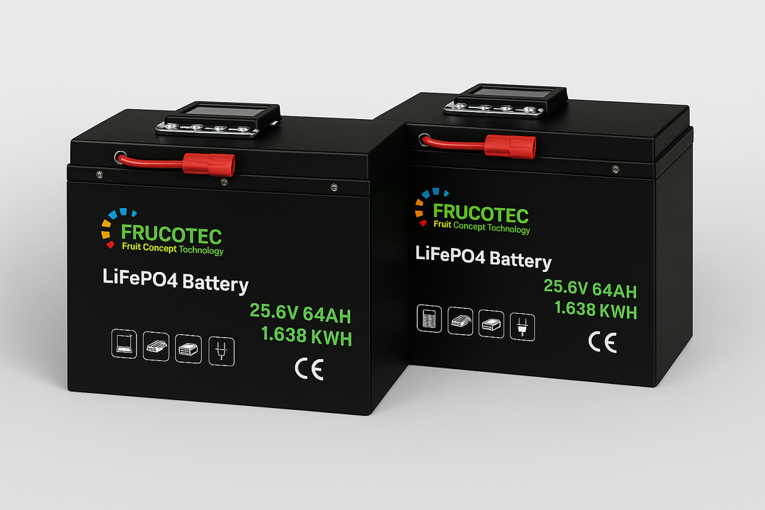LITHIUM BATTERIEN