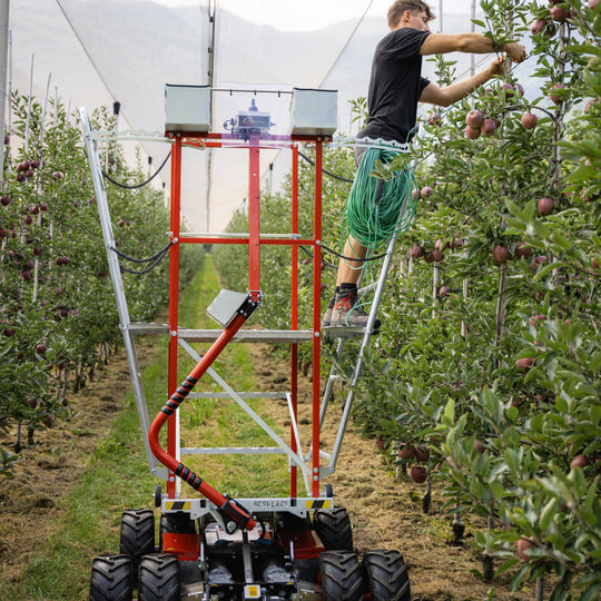 HARVESTING LADDERS – Frucotec